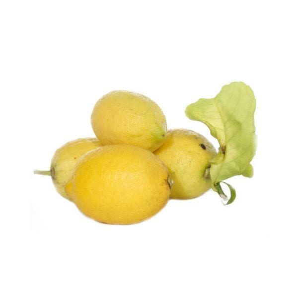 Lemon of Sicily