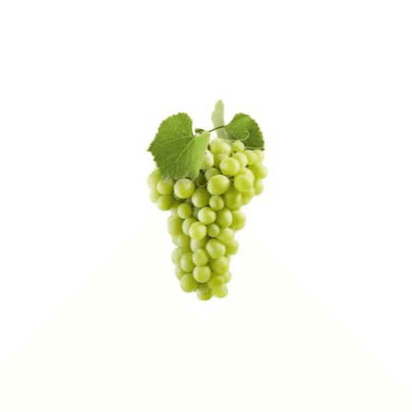 Sicilian Grapes