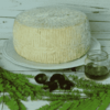 Italian cheese - PECORINO