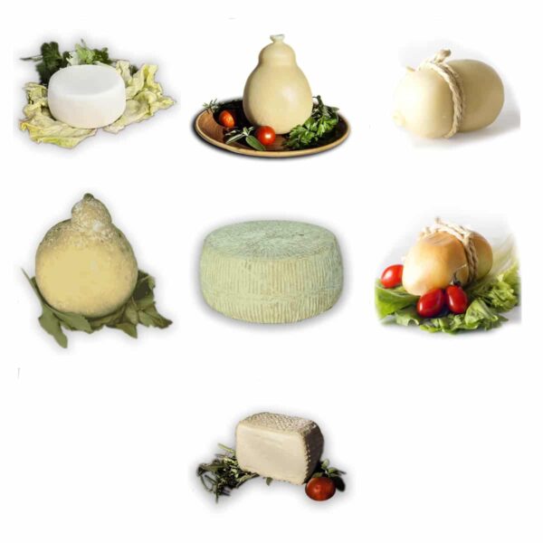Cheese tasting box Tasting box created to let you taste all the specialties with a single purchase! You will find the ones that for us are the best cheeses in this marketplace all in a single Box